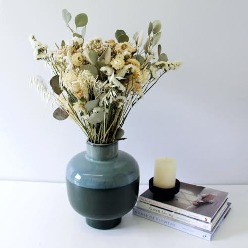 Carbeth Plants - Fantasia Dried Flower Bouquet - Neutral Tones - 50cm in Height - For Home Décor - Flower Arranging - Crafting - Cake Decoration