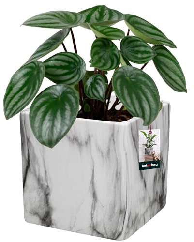 KOTARBAU® Pot De Fleur Carré en Céramique Blanche Matte 13x13 cm | Cache Pot Céramique | Pot Céramique Plante | Pot De Fleur Céramique | Pot De Fleur en Céramique | Pot De Fleur Céramique