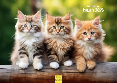 Edition Seidel Premium Kalender Die Welt der Katzen 2026 Format DIN A3 Wandkalender Katzenkalender Haustiere Kätzchen Katzenkinder Katze Kater Kitten
