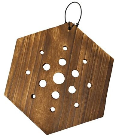 predolo Fioriera da Parete Multiuso con Supporto per Staghorn per Accessorio Platycerium, Struttura in Legno, Esagonale
