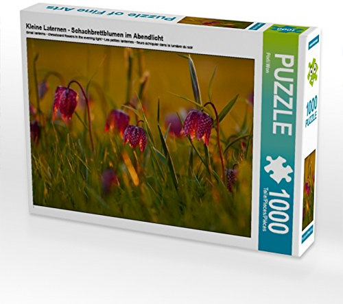 CALVENDO Puzzle Kleine Laternen - Schachbrettblumen im Abendlicht | 1000 Teile Lege-Größe 64 x 48 cm Foto-Puzzle für glückliche Stunden