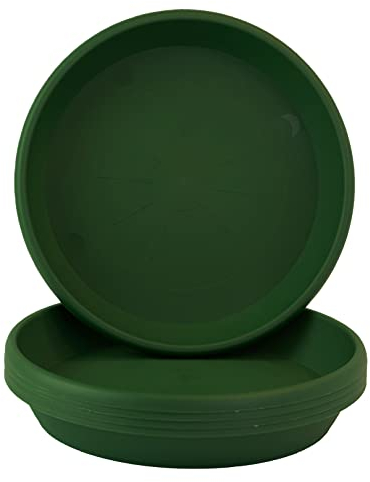 Home Garden Ornaments Sottovaso Rotondo Verde Scuro 24cm Diametro Set da 5 - Sottovasi Rotondi - Sottovasi Plastica Resistente - Sottovasi per Piante da Interno (Ø24cm, Verde Scuro)