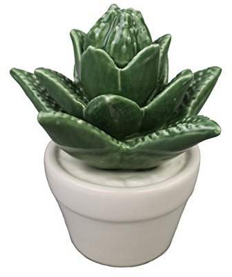 Cactus in ceramica cactus modellini a scelta, vaso decorativo in ceramica (altezza 22-2 cm)