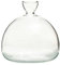 Vase À Culture D'Avocat En Verre, Pot De Germination Hydroponique Pour Jacinthes, Décoration Domicile, Cadeau Pour Amateurs De Jardinage