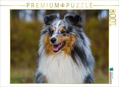 CALVENDO Puzzle Sheltie - Unwiderstehlich 1000 Teile Puzzle quer | Lege-Größe cm Foto-Puzzle für glückliche Stunden