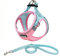 DORAMIO Hundegeschirr Kleine Hunde mit Leine, Step-in Geschirr Reflektierend Atmungsaktiv Brustgeschirr Anti Zug Sicherheitsgeschirr Katzengeschirr für Kleine Hunde, Katzen (XL, Rosa Blau)