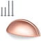 PinLin 20 Pack Rose Gold Cabinet Pulls, Bin Cup Drawer Pulls 76mm Hole Centre Cabinet Handles Cupboard Pulls Dresser Drawer Knobs for Kitchen and Bedroom Cabinet Hardware