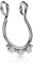 Treuheld® Fake Septum Piercing mit Kristallen | Silberne Klemme