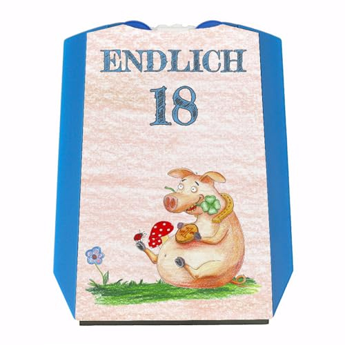 Endlich 18 Parkscheibe mit Glücksschwein Geschenk zum 18 Geburtstag eigenes Auto Freunde über 18 erwachsen praktisch mit Eiskratzer und Wasserabstreifer Party Mitbringsel
