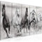 Runa Art Wandbild XXL Pferde Wohnzimmer Schlafzimmer 200 x 80 cm Schwarz Weiss 5 Teilig - Made in Germany - 014155c