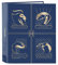 Ordner mit 4 Ringen Harry Potter Magical, 270 x 60 x 330 mm