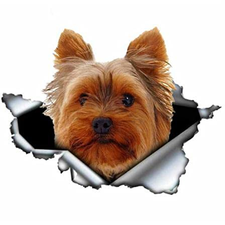 3D Hunde Aufkleber Autoaufkleber 15Cm Yorkshire Terrier Schöne Haustier Hund Auto Aufkleber Wasserdicht Aufkleber Motorrad Auto Zubehör Dekoration PVC,