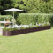 puraday Jardinière de Jardin Acier Enduit de Poudre 512x80x36 cm Marron Lit Surélevé de Cour Thermolaqué Contre Rouille Terrasse Pot à Fleurs de Forme Ovale Grand Espace Facile à Assembler