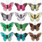 BETESSIN 12Pcs Schmetterlinge Deko mit Draht 3D Bunt Schmetterling Dekoration Tisch Torte DIY Geschenkverpackung Ostern Hochzeit Party Zimmer Dekoration Kuchendeko Fenster Wanddeko Gartendeko