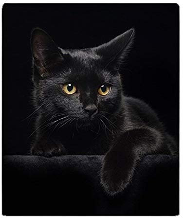 YISUMEI - Weiche Fleecedecke - Schwarze Katze, 125 x 200 cm Überwurf geeignet für Sofa oder Bett