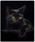 YISUMEI - Weiche Fleecedecke - Schwarze Katze, 125 x 200 cm Überwurf geeignet für Sofa oder Bett