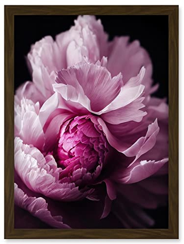 Doppelganger33 LTD Pink Peony Blooming Petals Macro Photograph Artwork Framed Wall Art Print A4