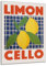 DARO Design - Wand-Bild Abstrakt Limoncello Zitronen auf 6mm HDF 84x56 cm - Wand-Deko Bilder Geschenk