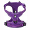 Truelove Dog Harness TLH5651 No-pull Reflective Stitching Ensure Night Visibility, Outdoor Adventure Big Dog Harness Perfect Match Puppy Vest Now Available (Purple,XS)