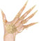 YEAMLTE Finger Kralle Kette, Kralle Armband, Armband Kralle, Kettenfinger Armband, Armband Lang Finger, Schmuckzubehör für Mädchen und Frauen für Halloween, Cosplay (Gold)