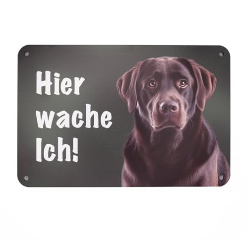 Brauner Labrador Retriever „Hier wache ich!“ Hundeschild – Wetterfestes Warnschild für Gartenzaun, Gartentor und Grundstück – Aluverbund, 24 x 16 cm – Made in Germany
