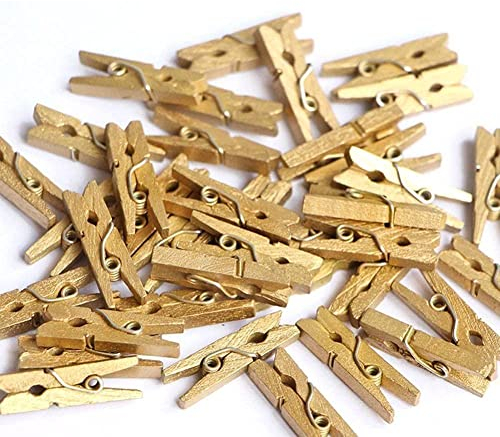 WAITLOVER Lot de 50 mini pinces à linge en bois Doré/argenté 25 mm