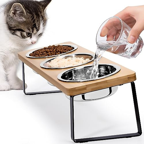 Elevated Cat Bowls for Food and Water - Loplurea 15° Tilted Raised 3 Stainless Steel Cat Food Bowl Feeder, with Bamboo Stand and Anti Vomit Feeding Station for Indoor Kittens and Pet