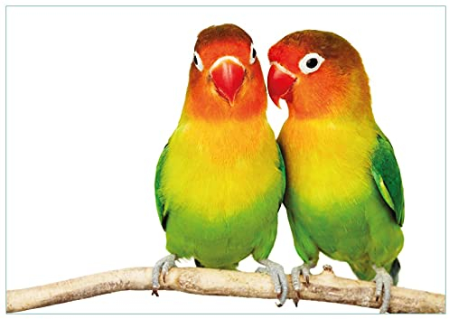 Wallario Glasbild Papageien auf dem dünnen AST - 70 x 100 cm Wandbilder Glas in Premium-Qualität: Brillante Farben, freischwebende Optik