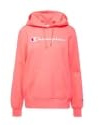 CHAMPION, Hooded Sweatshirt, DBR, XXL