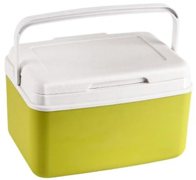 QSTDGVPW Nevera Portátil con Aislamiento para Coche, Nevera Portátil con Almacenamiento en Frío, Pequeña Nevera con Retención de Hielo para Barbacoa, Playa Y P, 6l