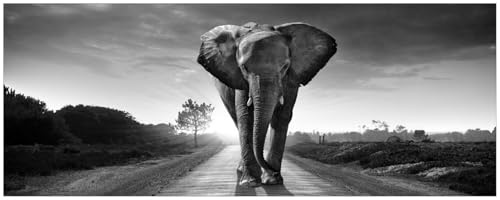 Wallario Küchenrückwand selbstklebend 115 x 50 cm, Motiv: Elefant bei Sonnenaufgang in Afrika schwarzweiß | Spritzschutz abwischbar & pflegeleicht