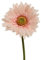 Gerbera mit Stiel 50cm künstliche Blumen Kunstblumen Seidenblumen Dekoblumen Kunstpflanzen pfirsich apricot