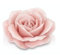 Cereria Parma - Candela Profumata Artigianale a Forma di Fiore Rosa, colore Cipria - Made in Italy, 300gr, diametro 14cm