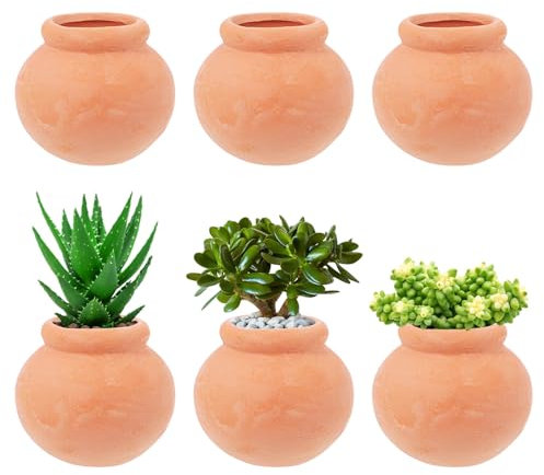 ifundom 6 Mini Macetas De Barro Pequeñas De 1 53 Pulgadas para Vivero De Suculentas para Plantas De Interior Y Exterior Manualidades Bodas