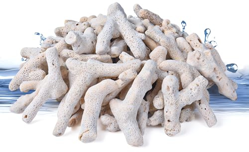 YZHZOM Sorgfältig ausgewählter Korallensand für Süßwasseraquarium Korallensand für Aquarium gh Korallensand zur Erhöhung des pH-Werts im Süßwasserfischbecken Filtermedium (500g)