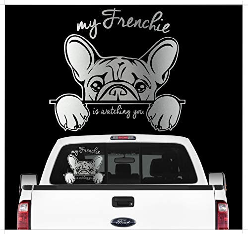 Auto Aufkleber Frenchie Watching Französische Bulldogge Bully Hund Wilsigns Hundeaufkleber autoaufkleber Hund Folie Hundemotiv (Silber)