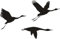 myrockshirt Kraniche 3X je 20cm Vogelflug Vögel Kranich Aufkleber Autoaufkleber Sticker Decal