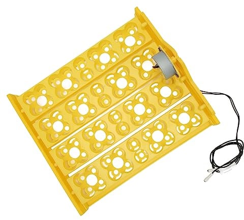 Hiraith Bandeja de Volteo de Huevos, Bandeja de Incubadora de Huevos con Volteo Automático de Huevos Potente Motor Transpirable Multifunción Mejora la Tasa de Eclosión para 16 Huevos de