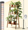 Barrina T10 Pro Standing Grow Light with Timer, 42W, 169 LEDs, Full Spectrum Vertical Grow Lights for Indoor Plants, Wide Coverage, 115cm to 165cm Height with Foot Switch, Flowering and Tall Plant