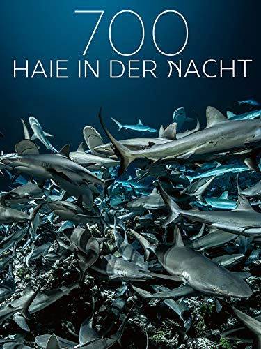 700 Haie in der Nacht