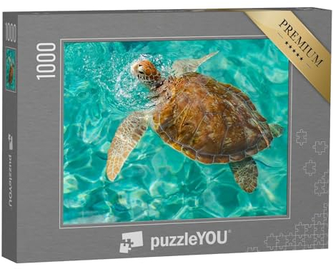 puzzleYOU: Puzzle 1000 Teile „Westpunt Schildkröte Schwimmen Ansichten rund um die Karibikinsel Curacao“ – aus der Puzzle-Kollektion Südamerika