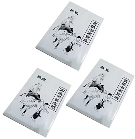 Papier à Peinture RUSWEST 90 Feuille Blanche 36 x 25 cm Peinture Chinoise et Calligraphie