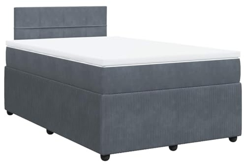 vidaXL Boxspringbett, Doppelbett mit Matratze Matratzenauflage, Bettgestell mit Lattenrost Kopfteil, Polsterbett Bett für Schlafzimmer, Dunkelgrau 120x190cm Samt