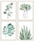 Botanische Drucke Poster für Schlafzimmer Ästhetik, Pflanze Wall Art Print 11x14 Leinwandplakat Ungerahmt Set von 4, Boho Wall Art Print Salbei Grün Dekor