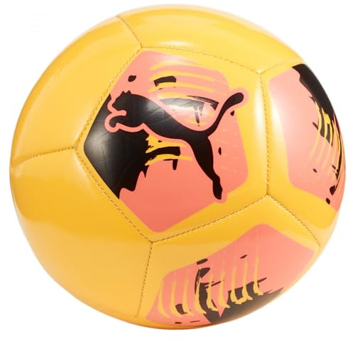 PUMA Big Cat Miniball Trainingsbälle