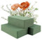 Gjinxi 3 Stück Blumenschaumblöcke Trockenziegel 22,5×10,5×7 cm Grüner Nass Trockenschaum für Frische Künstliche Blumen Oasis Blumenschaumblock Floristenbedarf für Heimwerker Kunst Handwerk Hochzeiten