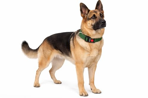 Halsband Hund - ziggi kaki - größe XL - 55-75 cm x 40 mm - Nylon hundehalsband verstellbar mit klickverschluss und metallring