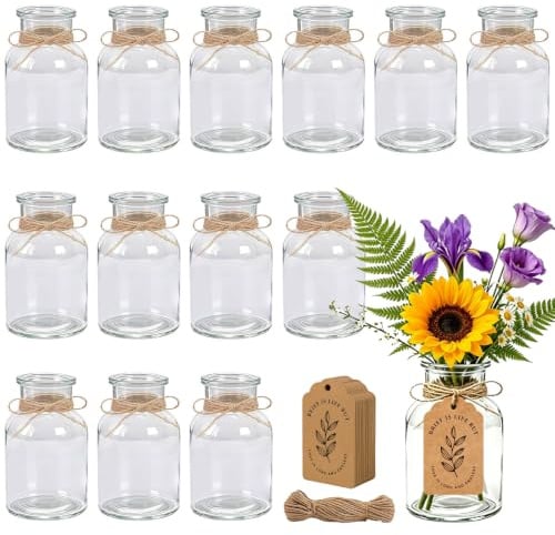 Forhandy 12er-Set Kleine Glasvasen mit Juteschnur, 125ml Kleine Vasen Glas | Mini Vasen Set mit 10m Juteschnur 50 Anhängern Transparente Vasen zum Bemalen Elegante Blumenvase Kein für Tschdeko Hochzeit