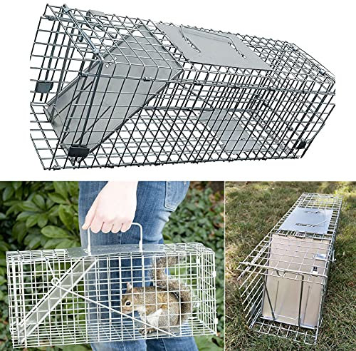 Large Humane Live Animal Trap Cage, Catch and Release Rabbits, Squirrel, Raccoon and Similar Size, Reusable Rodent Trap Galvanised Mesh Dormouse Rat Mouse Trap, Easy to Set, 24 x7.5 x8.3 inch