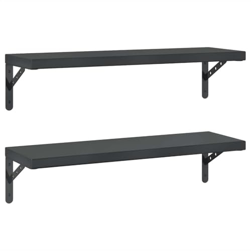 vidaXL Wandregale 2 STK. 75x23,5 cm Schwarz Edelstahl